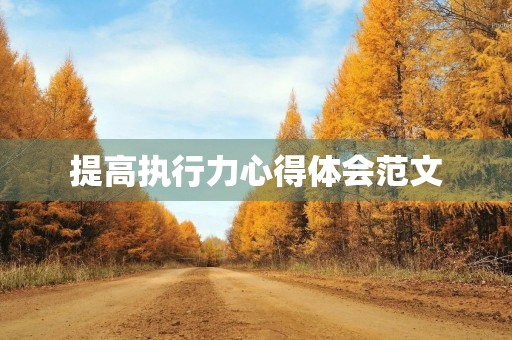 提高执行力心得体会范文