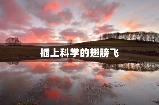 插上科学的翅膀飞