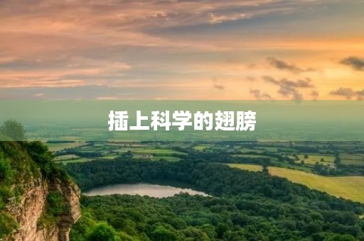 插上科学的翅膀,让我们一起飞翔 插上科学的翅膀,让我们一起飞翔