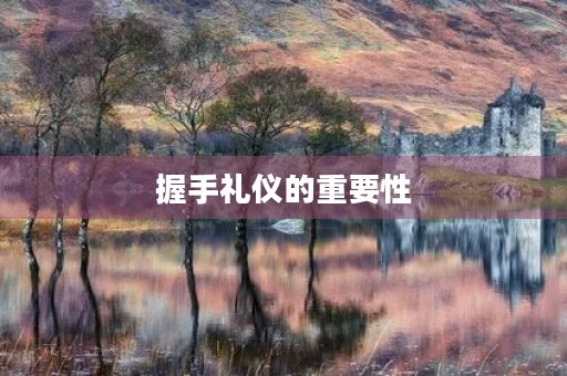 握手礼仪的重要性