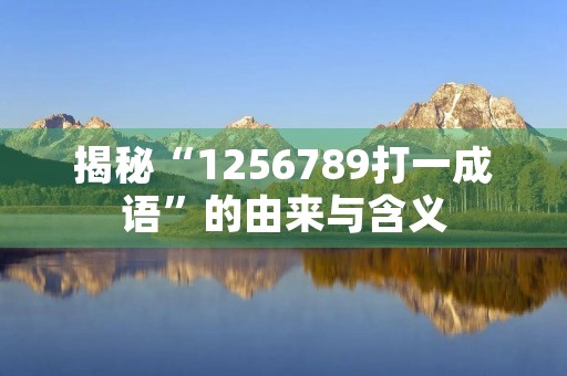 揭秘“1256789打一成语”的由来与含义