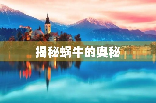 揭秘蜗牛的奥秘