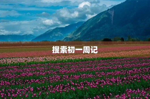 搜索初一周记