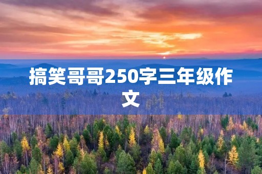 搞笑哥哥250字三年级作文