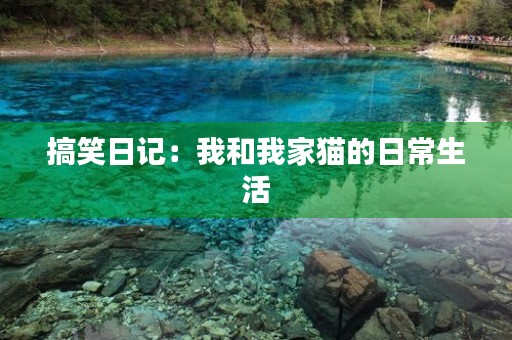 搞笑日记:我和我家猫的日常生活 搞笑日记:我和我家猫的日常生活
