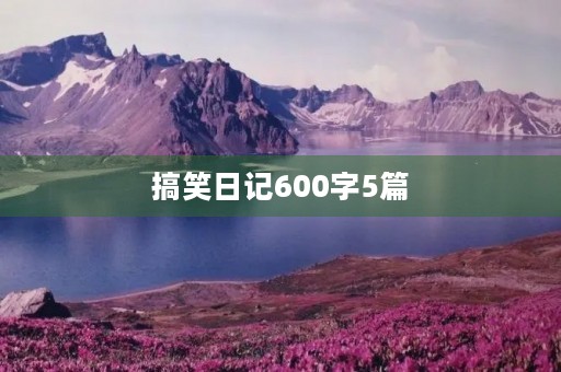 搞笑日记600字5篇