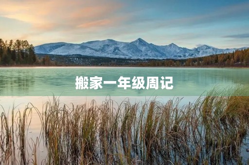 搬家一年级周记