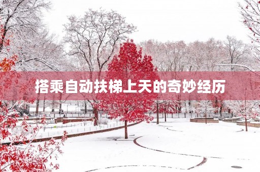 搭乘自动扶梯上天的奇妙经历 搭乘自动扶梯上天的奇妙经历