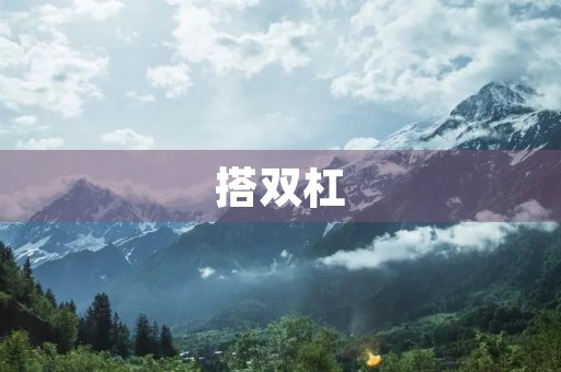 搭双杠 搭双杠