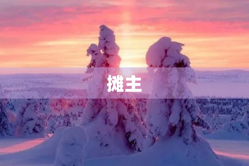摊主 摊主