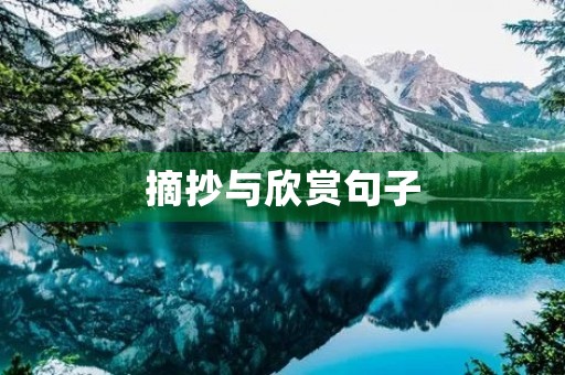 摘抄与欣赏句子(摘抄与欣赏句子比喻句大全)