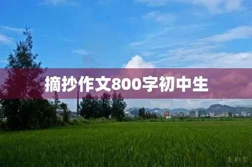 摘抄作文800字初中生 摘抄作文800字初中生