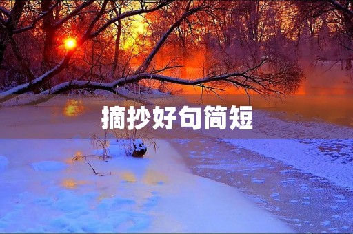 摘抄好句简短(摘抄好句简短初中)