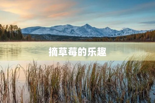 摘草莓的乐趣 摘草莓的乐趣