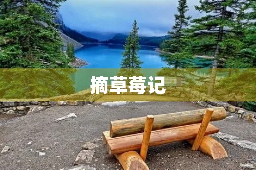 摘草莓记 摘草莓记