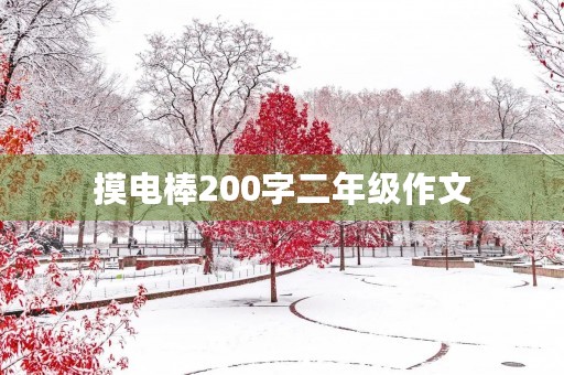 摸电棒200字二年级作文