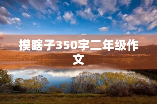摸瞎子350字二年级作文