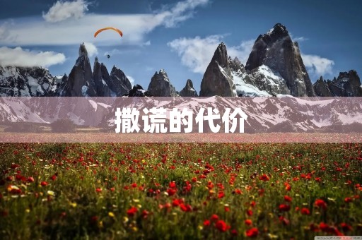撒谎的代价