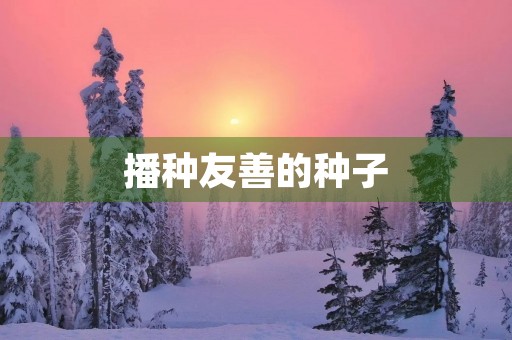 播种友善的种子 播种友善的种子