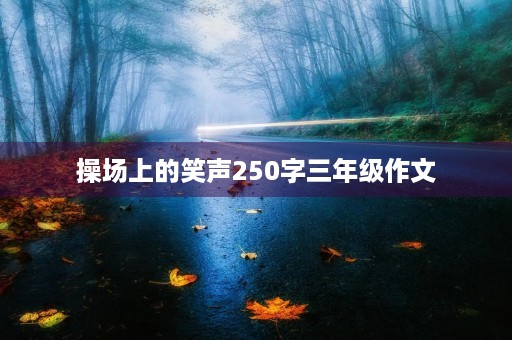 操场上的笑声250字三年级作文