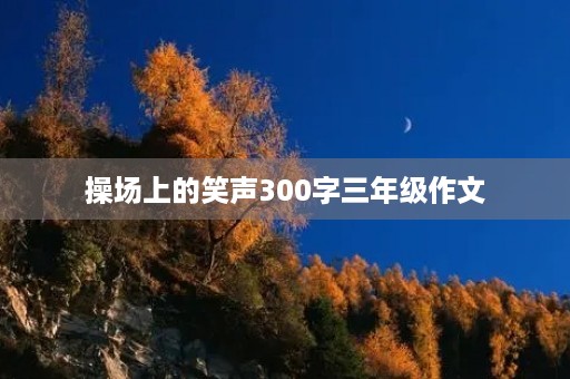 操场上的笑声300字三年级作文