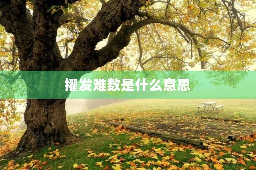 擢发难数是什么意思