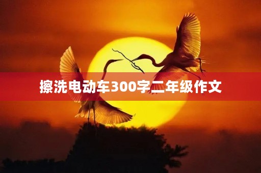 擦洗电动车300字二年级作文