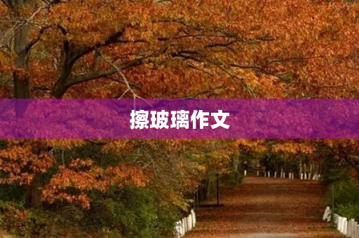 擦玻璃作文