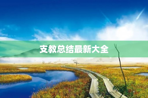 支教总结最新大全