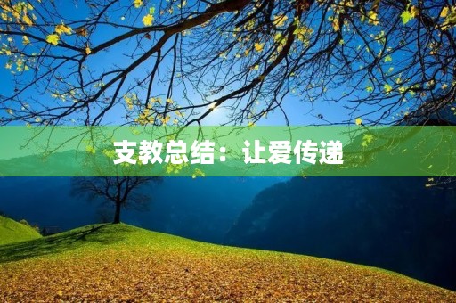 支教总结：让爱传递，让未来更美好