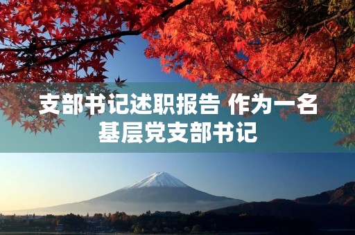支部书记述职报告 作为一名基层党支部书记
