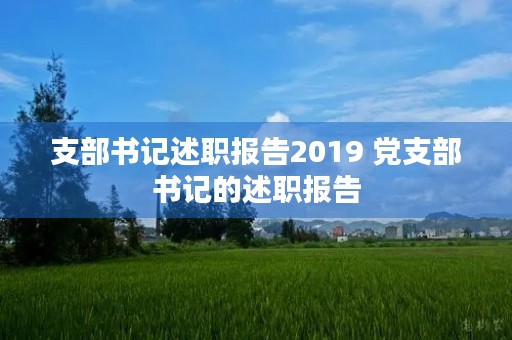 支部书记述职报告2019 党支部书记的述职报告