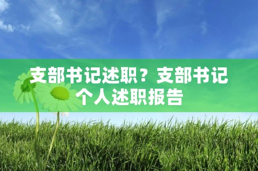 支部书记述职?支部书记个人述职报告【三篇】 支部书记述职?支部书记个人述职报告【三篇】