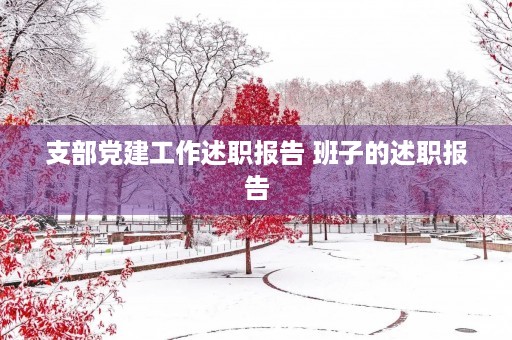 支部党建工作述职报告 班子的述职报告