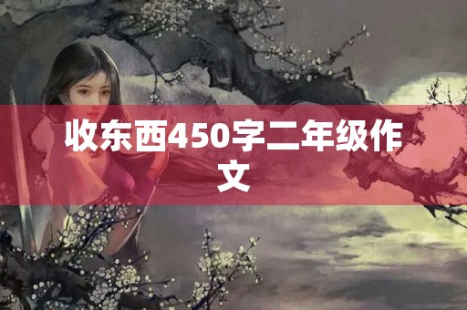 收东西450字二年级作文