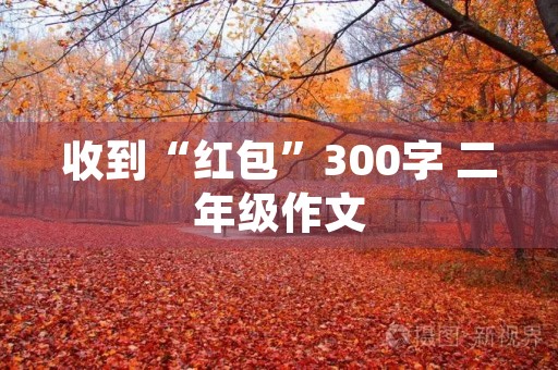 收到“红包”300字 二年级作文