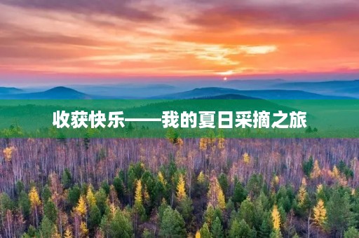 收获快乐——我的夏日采摘之旅