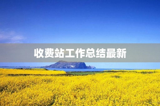 收费站工作总结最新