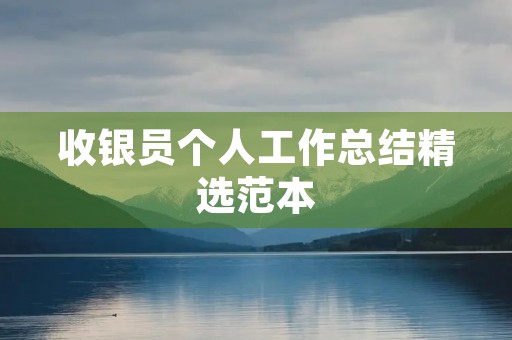 收银员个人工作总结精选范本