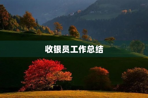 收银员工作总结