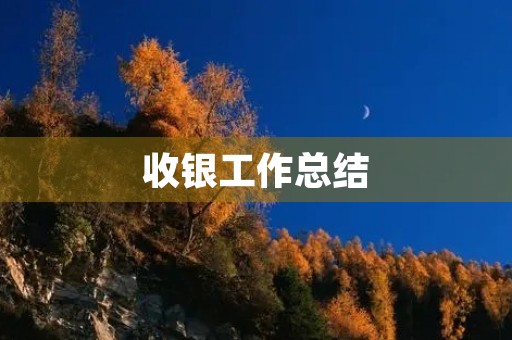 收银工作总结