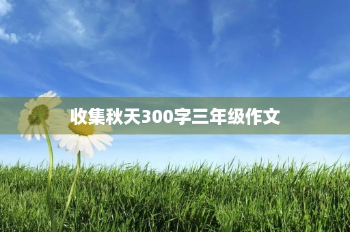 收集秋天300字三年级作文 收集秋天300字三年级作文