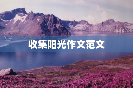 收集阳光作文范文