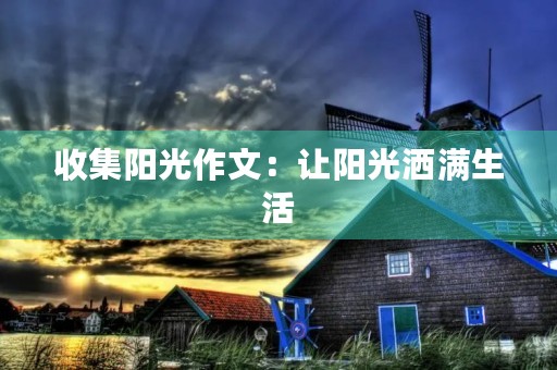 收集阳光作文：让阳光洒满生活