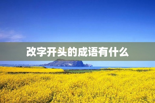 改字开头的成语有什么