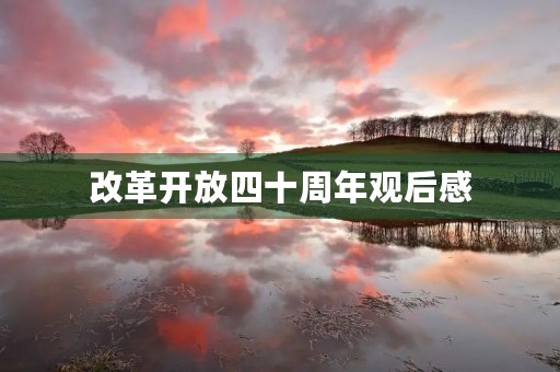 改革开放四十周年观后感