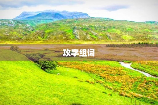 攻字组词(攻的组词) 攻字组词(攻的组词)