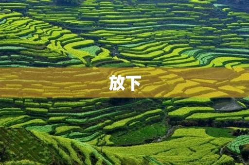 放下，让心灵自由