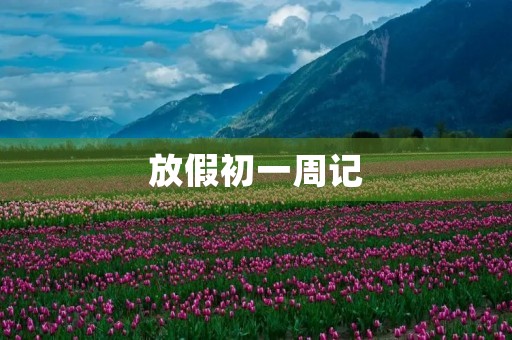 放假初一周记 放假初一周记