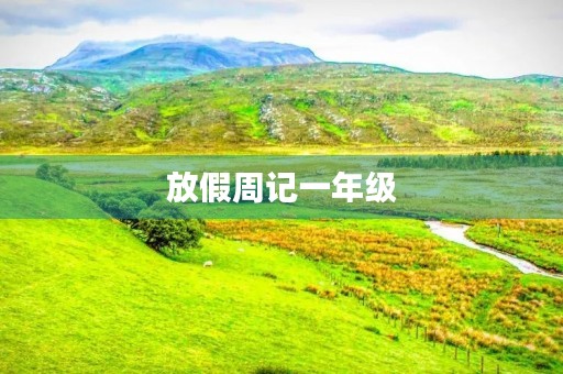 放假周记一年级